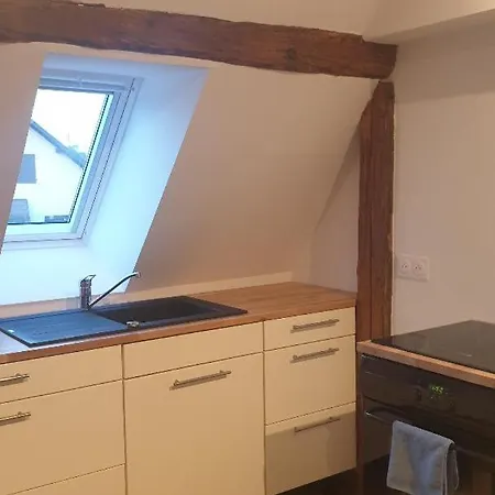 Au Jardin De Lucie Semesterbostad Sainte-Croix-en-Plaine